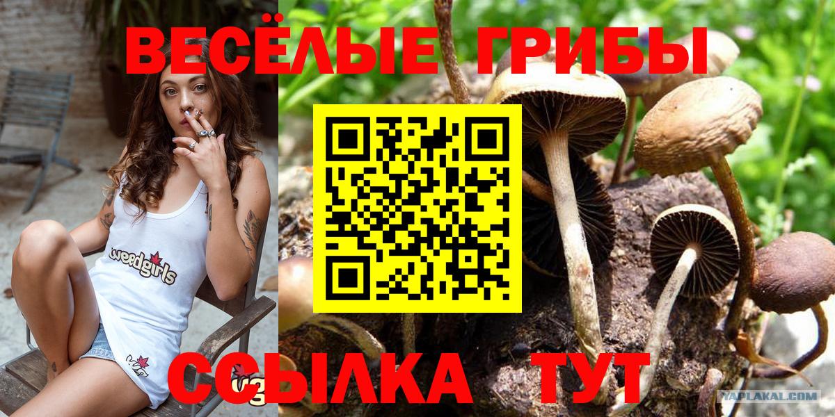 Галлюциногенные грибы мицелий  Вход с VPN  Донской 
