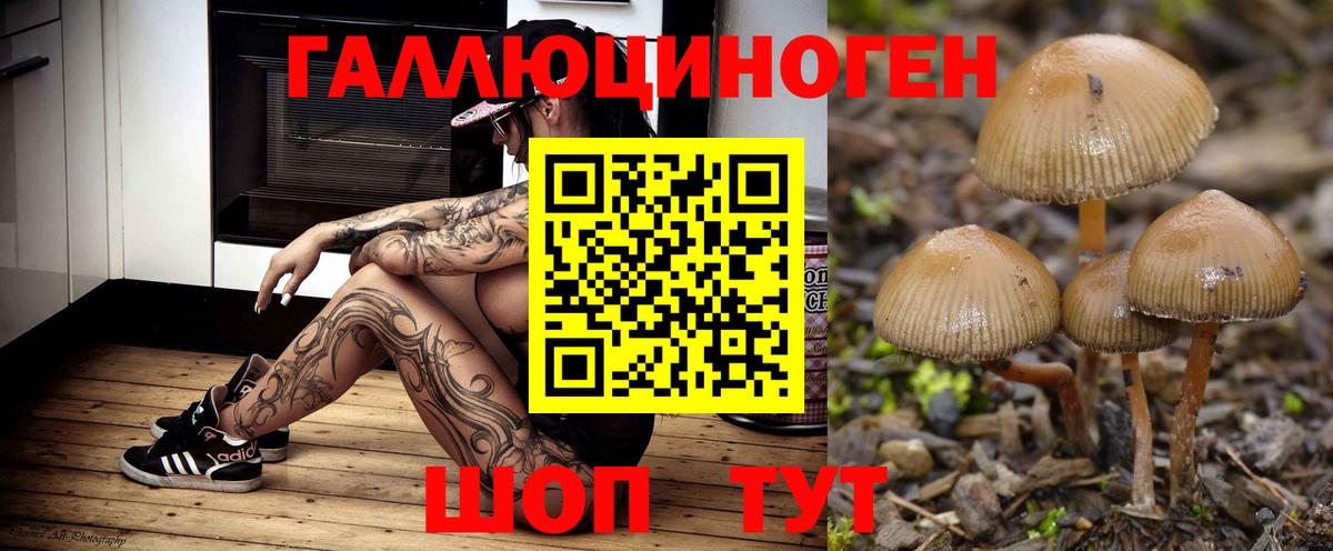 Псилоцибиновые грибы MAGIC MUSHROOMS Донской